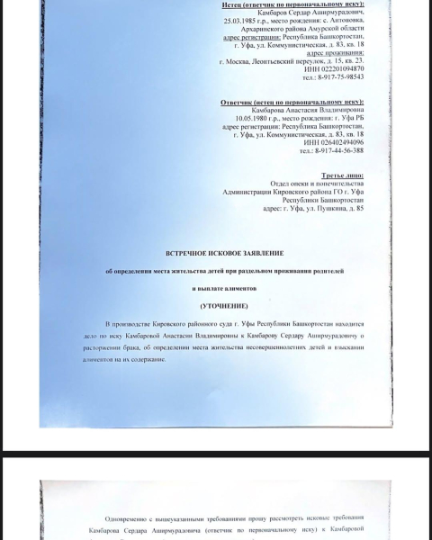 Сердар Камбаров требует от бывшей жены алименты на сына и выплатить моральный ущерб в размере миллиона рублей