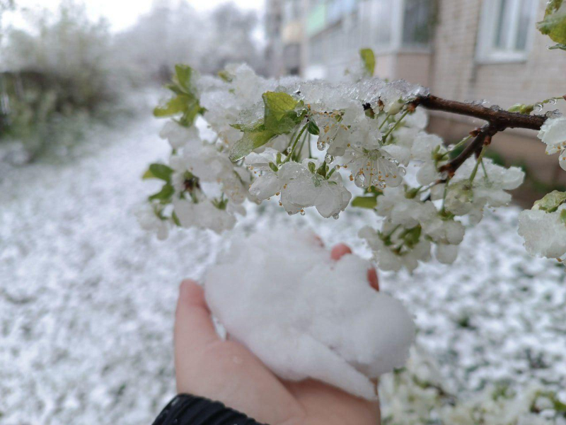 Хотели шашлыки, а получили ливень и мокрый снег: прогноз погоды на майские праздники в разных городах России